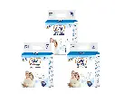 AVM Super Dry Comfort Adult Diaper | Unisex | PACK OF 3 (30 pcs)